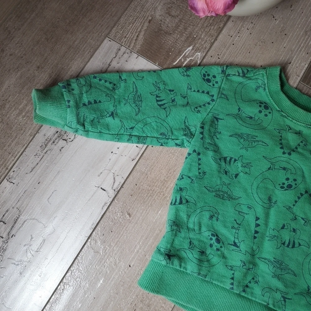 Carter's Green T-Rex Dinosaur Fleece Pullover Sweatshirt Boys Size 18m EUC